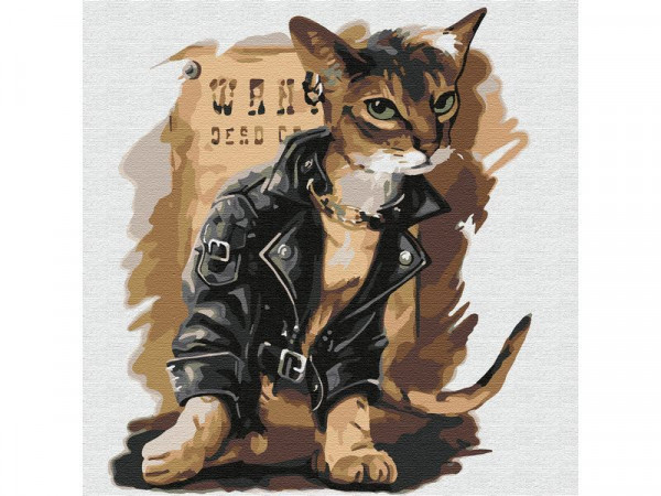 Картина по номерам 30х30 КОТ БАЙКЕР (15 цветов)