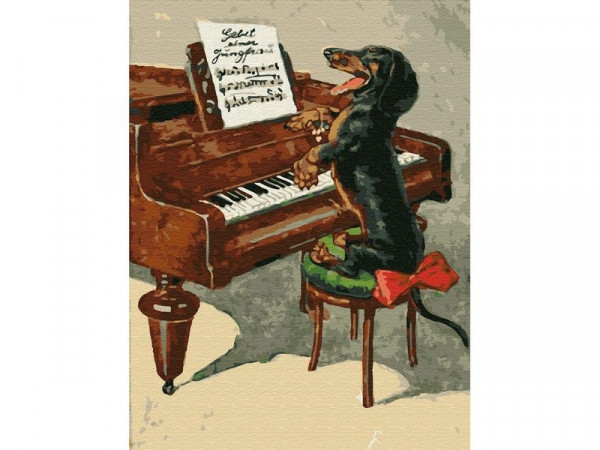 Картина по номерам с цветной схемой на холсте 30х40 Собачий вальс (20 цветов)