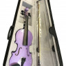 Скрипка 4/4 Brahner BVC-370 MPP комплект