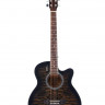 Акустическая гитара Elitaro E4030C черного цвета