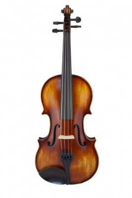 Prima P-300 4/4 скрипка в комплекте
