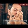 Hohner Blues Harp 532-20 MS Bb губная гармошка диатоническая