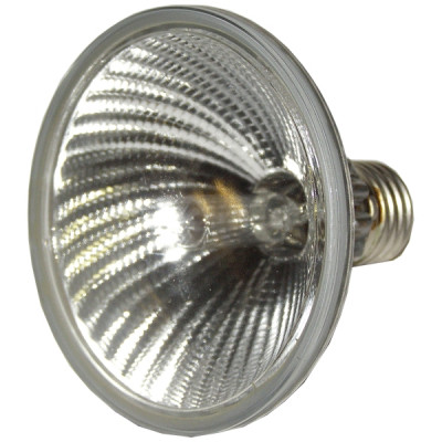 INVOLIGHT Lamp PAR30 E27 лампа для PAR30 с отражателем 230В/75 Вт E27