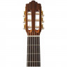 Классическая гитара 4/4 ALTAMIRA N200+