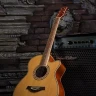 Flight F-230C NA акустическая гитара