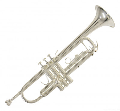 Труба Bach TR-650S Bb