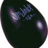 Маракас DUNLOP 9103 Black Maracas Display Jar в форме яйца, черный
