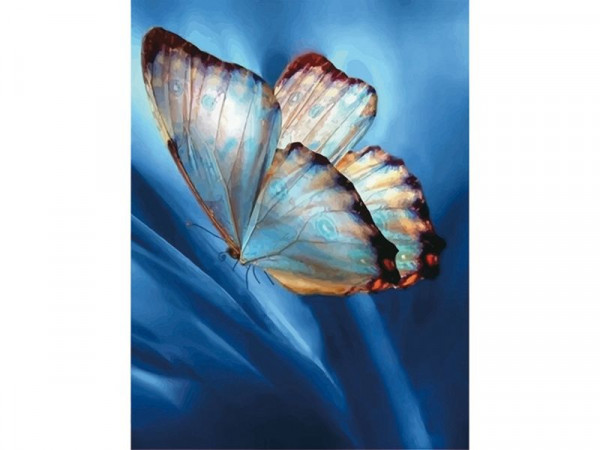 Алмазная мозаика 15х20 БАБОЧКА НА СИНЕМ (14 цветов)