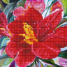 Картина мозаикой 15х20 ПЕРУАНСКАЯ ЛИЛИЯ (13 цветов)
