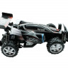 Р/У багги "Speed Master" 1/16