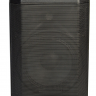 Активная акустическая система Xline NPS-8A двухполосная с USB/SD/Bluetooth/FM, 30 Вт с АКБ