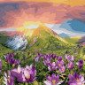 Картина по номерам 40х50 ВОСХОД (28 цветов)
