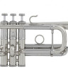 Труба Bach AC190S C