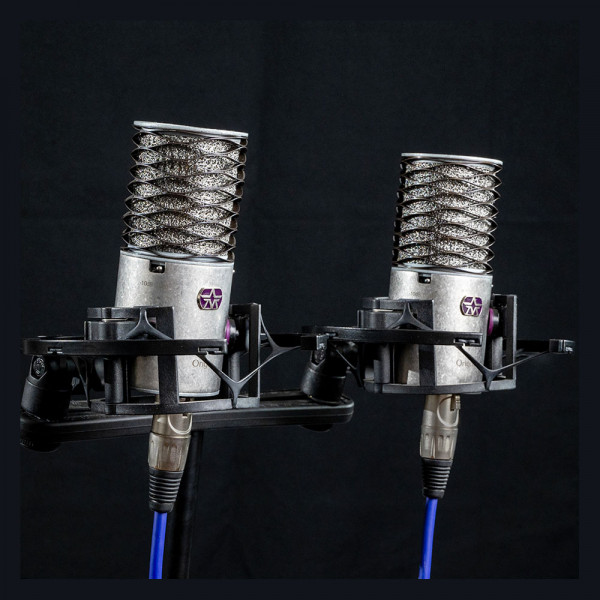 Стереопара микрофонов Aston Microphones ORIGIN STEREO PAIR Стереопара микрофонов Aston Microphones ORIGIN STEREO PAIR