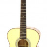 ARIA-209 N акустическая гитара