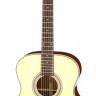 ARIA-501 N акустическая гитара с кейсом