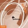 Комплект струн для акустической гитары GALLI STRINGS RA1047, 10-47
