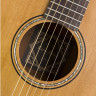 Акустическая гитара BATON ROUGE X11C-D