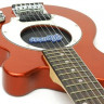 Электрогитара PIGNOSE PGG-200 CA