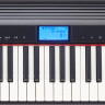 Roland GO-61P - Цифровое компактное пианино 61 клавиша