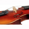 GEWA Allegro-VL1 4/4 скрипка + прямоугольный футляр-рюкзак, смычок, канифоль