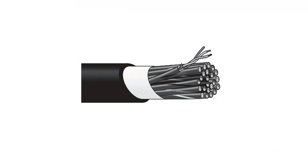 Мультикабель Canare MR202-12AT 12 каналов