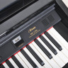 Artesia DP-150E Black цифровое пианино