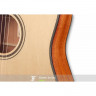 FURCH Green OMC-SM акустическая гитара с кейсом