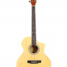 Elitaro L4050 N SC акустическая гитара