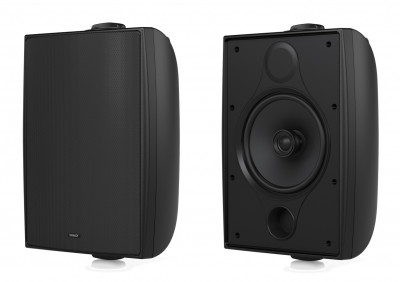 Акустическая система пассивная Tannoy DVS 6T двухполосная