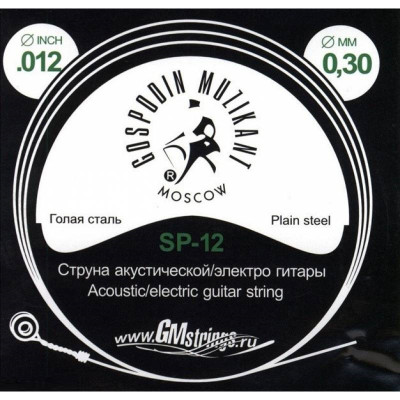ГОСПОДИН МУЗЫКАНТ SP-12 одиночная струна для акустической и электрогитары