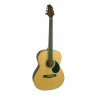 Акустическая гитара GREG BENNETT GA60/N уменьшенный корпус, цвет натуральный