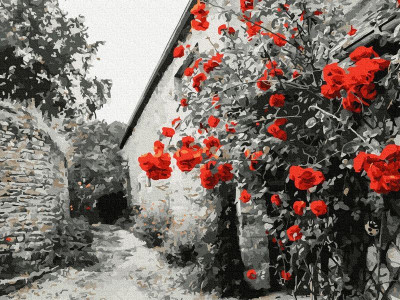 Картина по номерам 40х50 КРАСНЫЕ РОЗЫ НА КАМЕННОЙ СТЕНЕ (18 цветов)