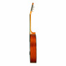 Классическая гитара 4/4 BARCELONA CG139 массив кедра, анкер, цвет натуральный