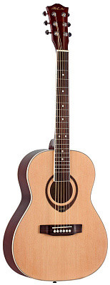 PHIL PRO AS - 3607 N акустическая гитара