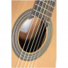 Гитара классическая 4/4 ALTAMIRA Basico+