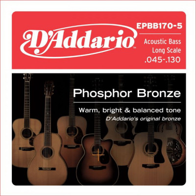 D'ADDARIO EPBB170-5 Soft 45-130 струны для 5-струнной акустической бас-гитары