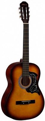 PHIL PRO AS-39 SB акустическая гитара