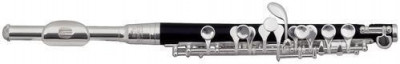 Флейта-пиколло ROY BENSON PC-502 Piccolo