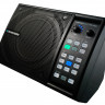 TC HELICON VOICESOLO FX150 персональный монитор с вокальным процессором эффектов на микрофонную стойку
