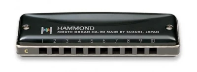 Губная гармошка диатоническая SUZUKI HA-20 A (49710) Richter Modular System