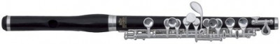 Флейта-пиколло ROY BENSON PC-602 Piccolo