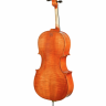 Виолончель ANDREW FUCHS CL-200L 3/4