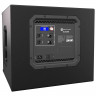 Electro-Voice ELX200-12SP сабвуфер активный 12" 1200W DSP