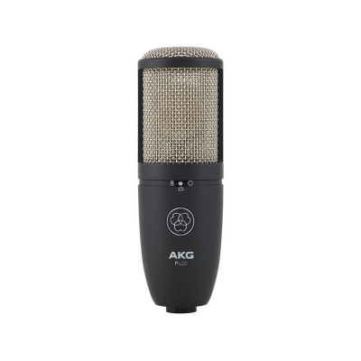 Микрофон конденсаторный AKG P420 - 20-20000Гц в комплекте "паук" и кейс