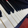 MEDELI DP280K цифровое пианино