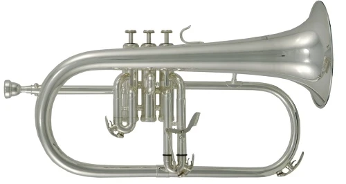 Флюгельгорн ROY BENSON FH-302S Bb серебристого цвета