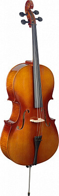 STAGG VNC-4/4 L виолончель 4/4 полный комплект + чехол