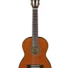 ARIA A-20-53 Классическая гитара 1/2
