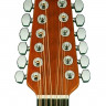 Applause AB2412-5 Balladeer Mid Cutaway Black электроакустическая гитара